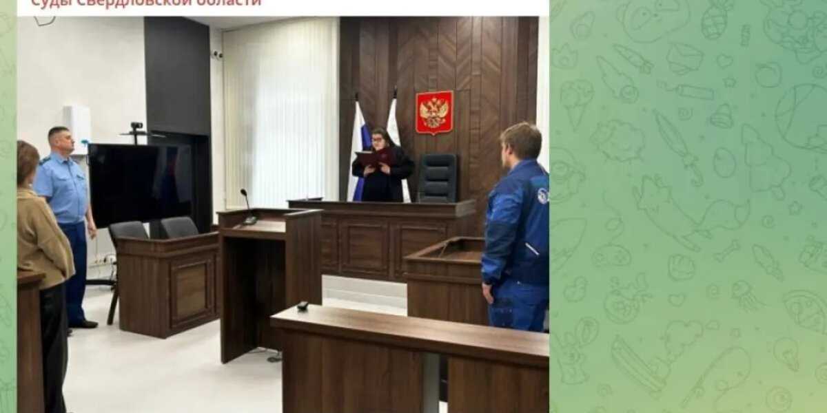 В Думе взялись за реформу в школах. Учителя в ужасе: «Это прямая дорога к национальной катастрофе». Низкая зарплата – ещё цветочки…